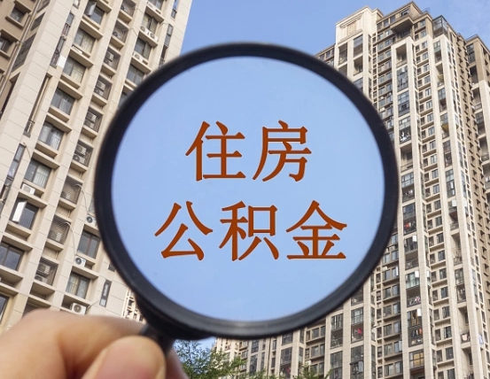 神农架杨浦公积金提取代办咨询（杨浦住房公积金）